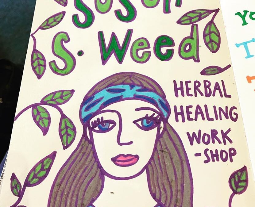 Susun Weed Herbal Healing Workshop: My Illustrated Journal Notes!