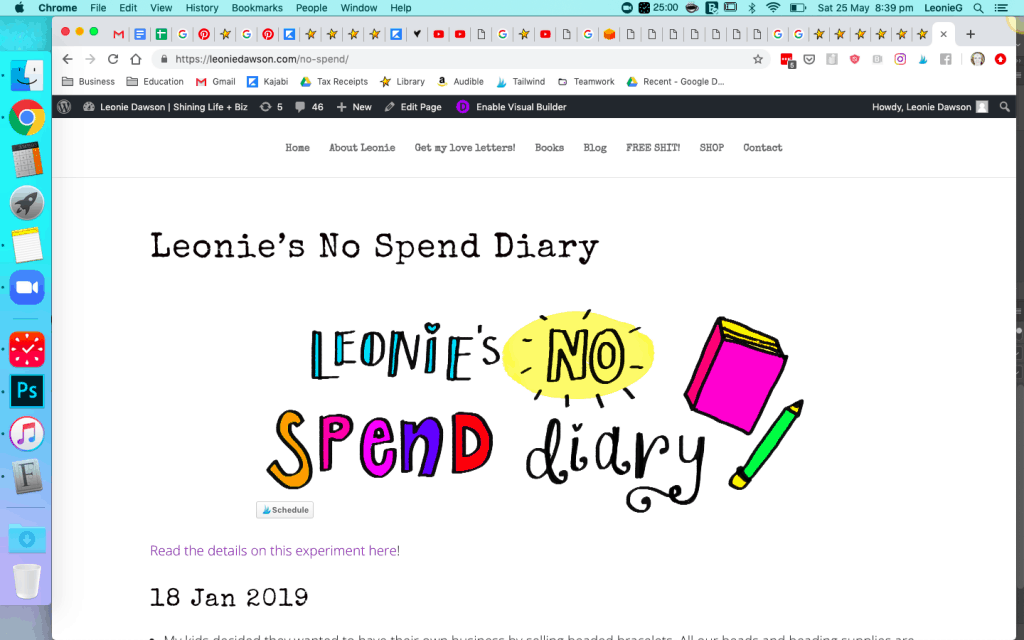 Update to No Spend Experiment Diary