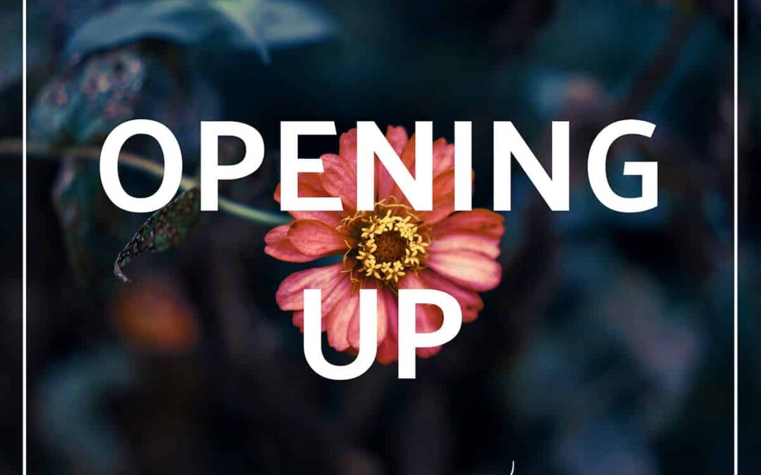 The Opening Up Podcast