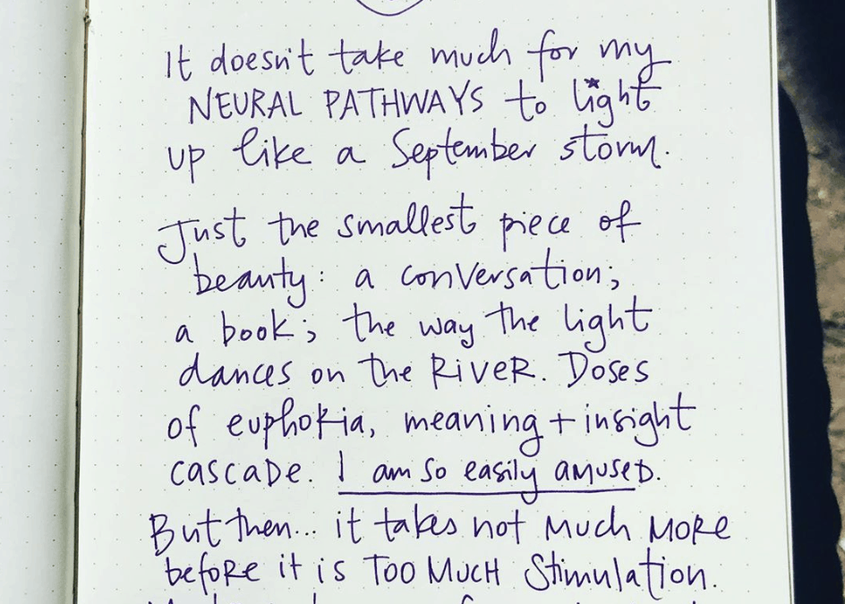 Notes on Sensitivity, by the River