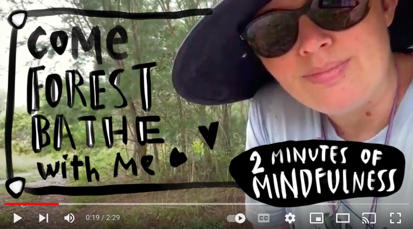 Mindfulness Video: Take a moment with me to forest bathe in the wetlands