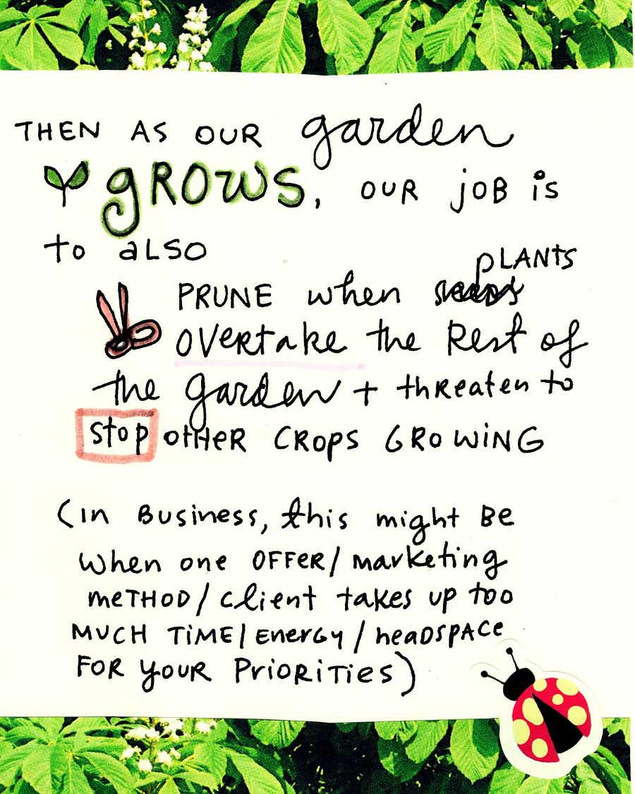 What if your business was a garden - zine page 6