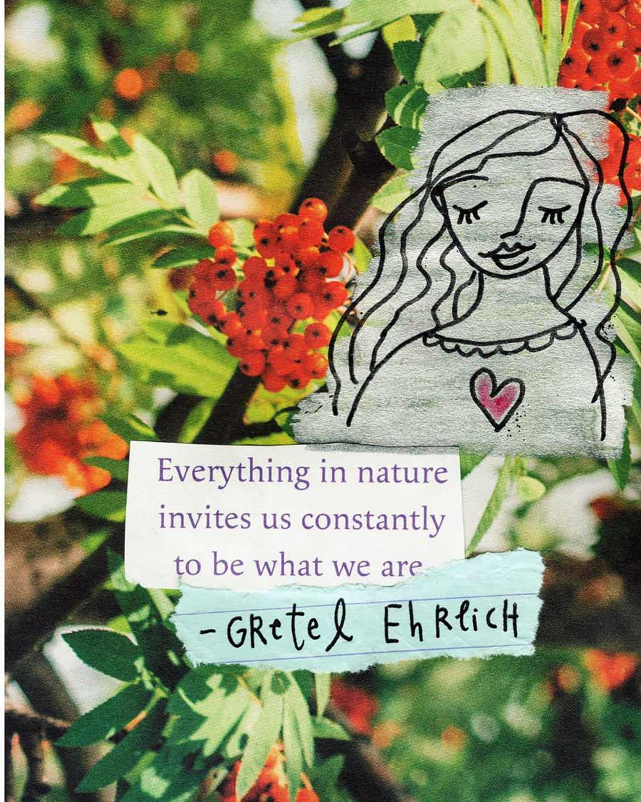 What if your business was a garden - zine page 7