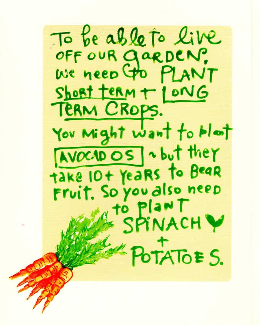 What if your business was a garden - zine page 11